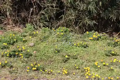 正観音堂の自然