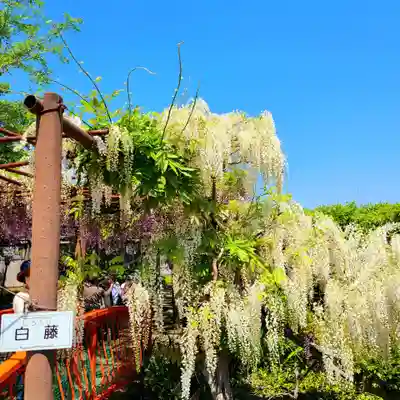 行興寺(静岡県)