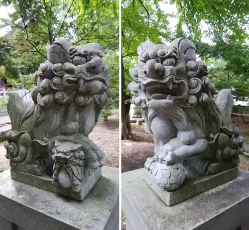 富良野神社の狛犬