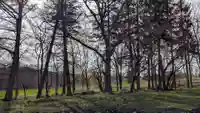 神楽神社の自然