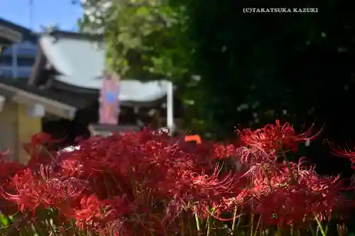 磐井神社(東京都)