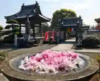 真言宗 善通寺派 薬王寺(香川県)