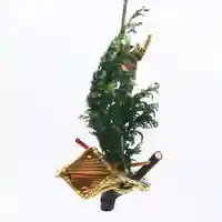 駒込富士神社(東京都)