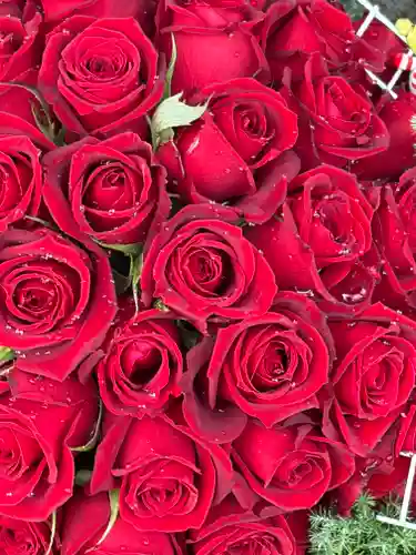 上尾御嶽神社(埼玉県)