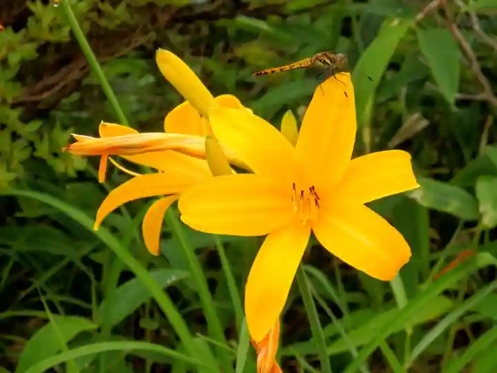 赤薙山神社(栃木県)