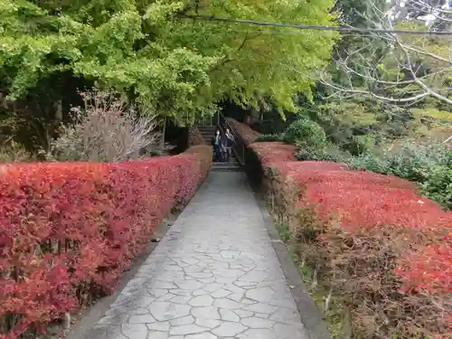 日本寺(千葉県)