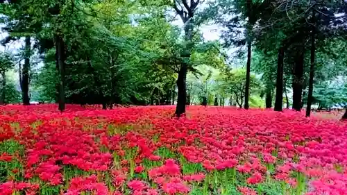 七百餘所神社 の周辺