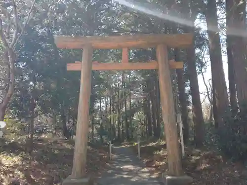 猿田神社の鳥居