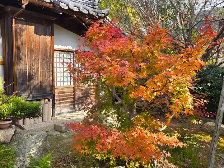龍象院(兵庫県)