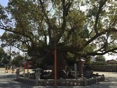 風浪宮(福岡県)