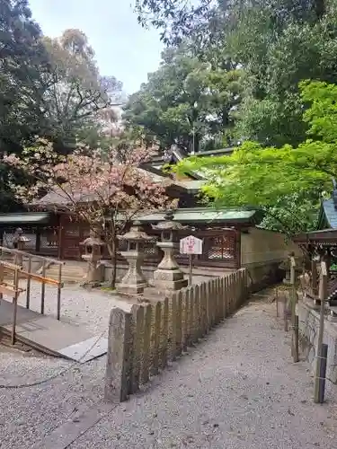 鴨都波神社(奈良県)