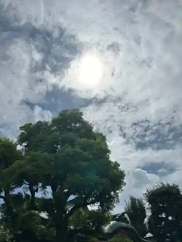 高木神社の自然