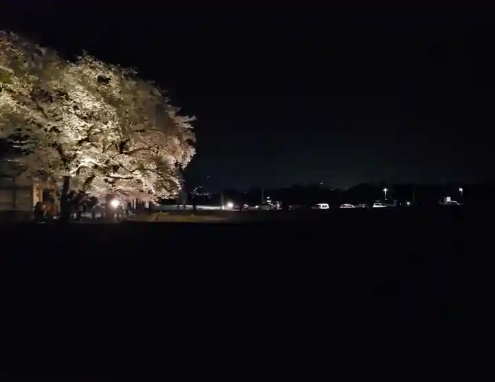 武田廣神社の自然