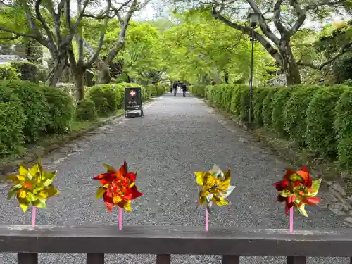 西教寺の{uncategorized: "未分類", other: "その他", undefined: "問題あり", building: "その他建物", grave: "お墓", sacred_gate: "鳥居", guardian: "狛犬", statue: "像", buddha: "仏像", history: "歴史", nature: "自然", garden: "庭園", animal: "動物", pagoda: "塔", temizu: "手水舎", mountain_gate: "山門・神門", sanctuary: "本殿・本堂", subordinate: "末社・摂社", art: "芸術", scenery: "景色", jizo: "地蔵", ema: "絵馬", goshuin: "御朱印", omikuji: "おみくじ", items: "授与品その他", amulet: "お守り", goshuincho: "御朱印帳", eats: "食事", festival: "お祭り", votive_dance: "神楽", shichigosan: "七五三参", wedding: "結婚式", experience: "体験その他", initially: "初詣", around: "周辺", anti_infection: "感染症対策"}