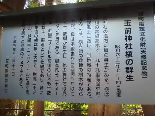 玉前神社の歴史