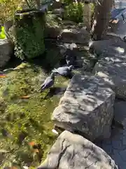 四柱神社(長野県)