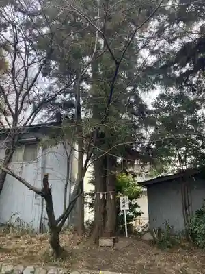 日吉神社(岐阜県)