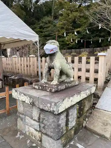 鶴岡八幡宮の狛犬