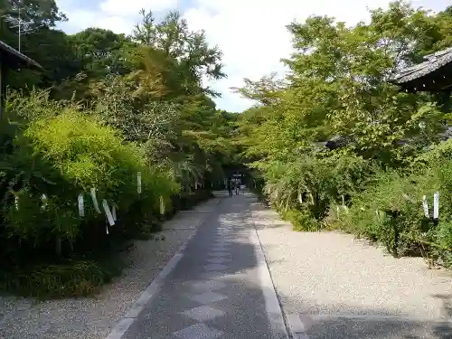 梨木神社の自然