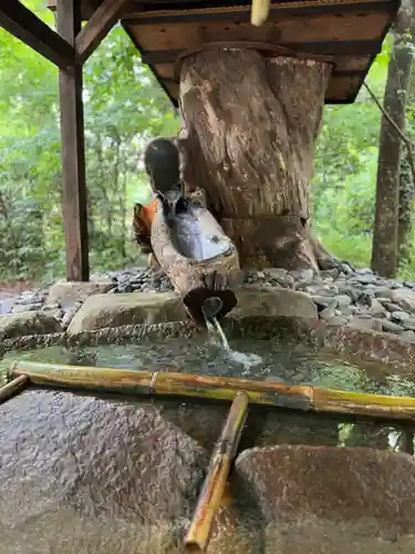 賀茂御祖神社（下鴨神社）(京都府)