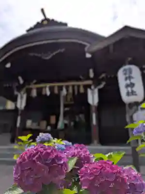 磐井神社(東京都)