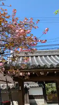 宝蔵寺(京都府)