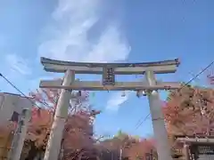 向日神社(京都府)