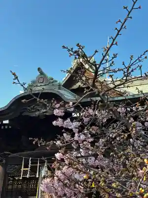 桜神宮の{uncategorized: "未分類", other: "その他", undefined: "問題あり", building: "その他建物", grave: "お墓", sacred_gate: "鳥居", guardian: "狛犬", statue: "像", buddha: "仏像", history: "歴史", nature: "自然", garden: "庭園", animal: "動物", pagoda: "塔", temizu: "手水舎", mountain_gate: "山門・神門", sanctuary: "本殿・本堂", subordinate: "末社・摂社", art: "芸術", scenery: "景色", jizo: "地蔵", ema: "絵馬", goshuin: "御朱印", omikuji: "おみくじ", items: "授与品その他", amulet: "お守り", goshuincho: "御朱印帳", eats: "食事", festival: "お祭り", votive_dance: "神楽", shichigosan: "七五三参", wedding: "結婚式", experience: "体験その他", initially: "初詣", around: "周辺", anti_infection: "感染症対策"}