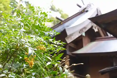 國司神社(島根県)