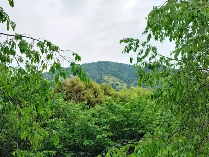 久延彦神社の{uncategorized: "未分類", other: "その他", undefined: "問題あり", building: "その他建物", grave: "お墓", sacred_gate: "鳥居", guardian: "狛犬", statue: "像", buddha: "仏像", history: "歴史", nature: "自然", garden: "庭園", animal: "動物", pagoda: "塔", temizu: "手水舎", mountain_gate: "山門・神門", sanctuary: "本殿・本堂", subordinate: "末社・摂社", art: "芸術", scenery: "景色", jizo: "地蔵", ema: "絵馬", goshuin: "御朱印", omikuji: "おみくじ", items: "授与品その他", amulet: "お守り", goshuincho: "御朱印帳", eats: "食事", festival: "お祭り", votive_dance: "神楽", shichigosan: "七五三参", wedding: "結婚式", experience: "体験その他", initially: "初詣", around: "周辺", anti_infection: "感染症対策"}