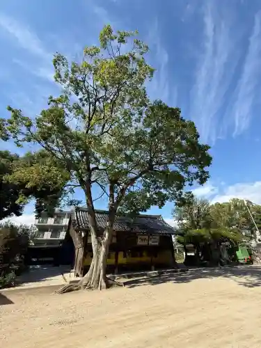 藤森神社(京都府)