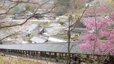 長谷寺(奈良県)