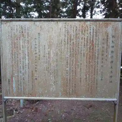 鴨大神御子神主玉神社の歴史