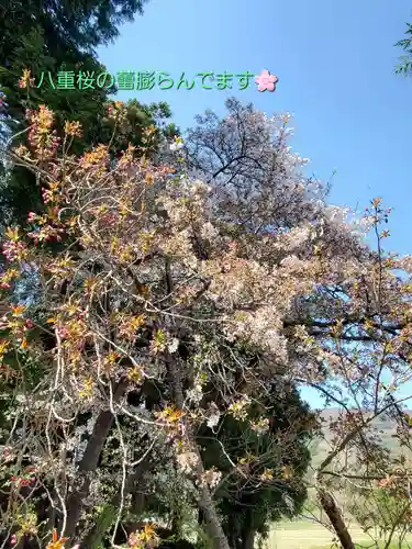 高司神社〜むすびの神の鎮まる社〜(福島県)