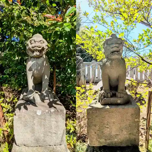 菊田神社の狛犬