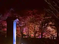 土津神社｜こどもと出世の神さまの景色