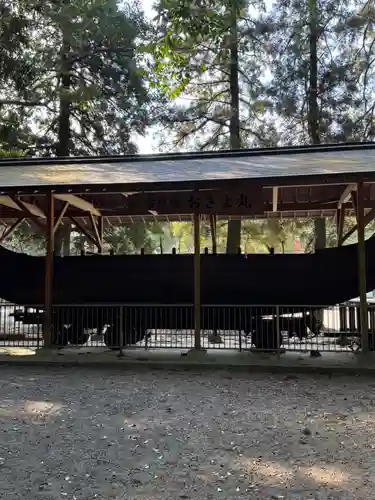 宮崎神宮(宮崎県)