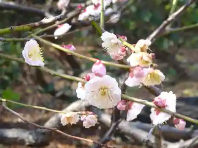 阿邪訶根神社(福島県)