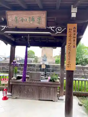 般若寺 ❁﻿コスモス寺❁(奈良県)