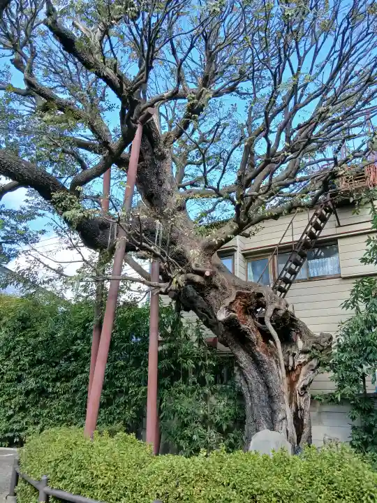 延命院の{uncategorized: "未分類", other: "その他", undefined: "問題あり", building: "その他建物", grave: "お墓", sacred_gate: "鳥居", guardian: "狛犬", statue: "像", buddha: "仏像", history: "歴史", nature: "自然", garden: "庭園", animal: "動物", pagoda: "塔", temizu: "手水舎", mountain_gate: "山門・神門", sanctuary: "本殿・本堂", subordinate: "末社・摂社", art: "芸術", scenery: "景色", jizo: "地蔵", ema: "絵馬", goshuin: "御朱印", omikuji: "おみくじ", items: "授与品その他", amulet: "お守り", goshuincho: "御朱印帳", eats: "食事", festival: "お祭り", votive_dance: "神楽", shichigosan: "七五三参", wedding: "結婚式", experience: "体験その他", initially: "初詣", around: "周辺", anti_infection: "感染症対策"}