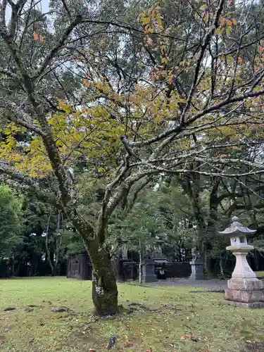 大斎原（熊野本宮大社旧社地）(和歌山県)
