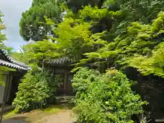 地藏院(京都府)