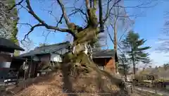 熊野皇大神社(長野県)