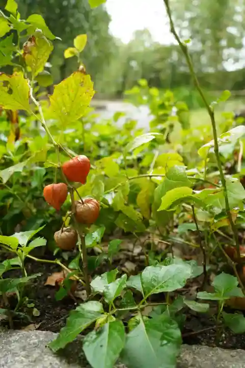 城南宮(京都府)