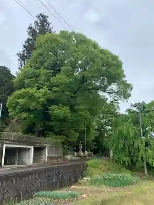 大雷神社(福島県)