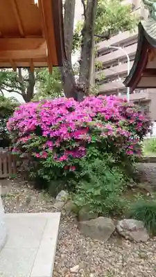 蒲田八幡神社(東京都)