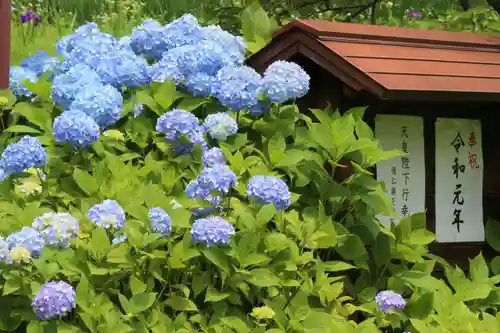 国宝 大法寺の自然