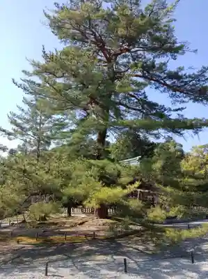 橿原神宮(奈良県)