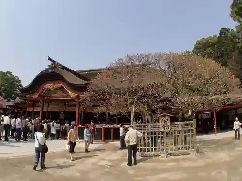 太宰府天満宮の本殿