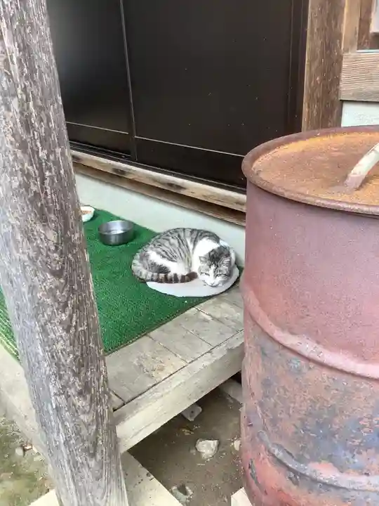 八大龍王本殿の動物